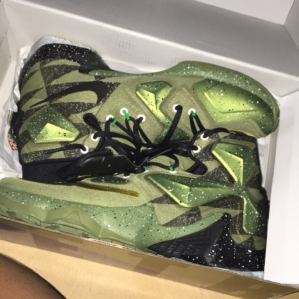 Brand New Lebrons